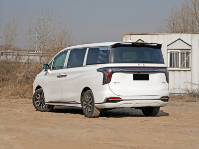 HongQi HQ9 Фото №6
